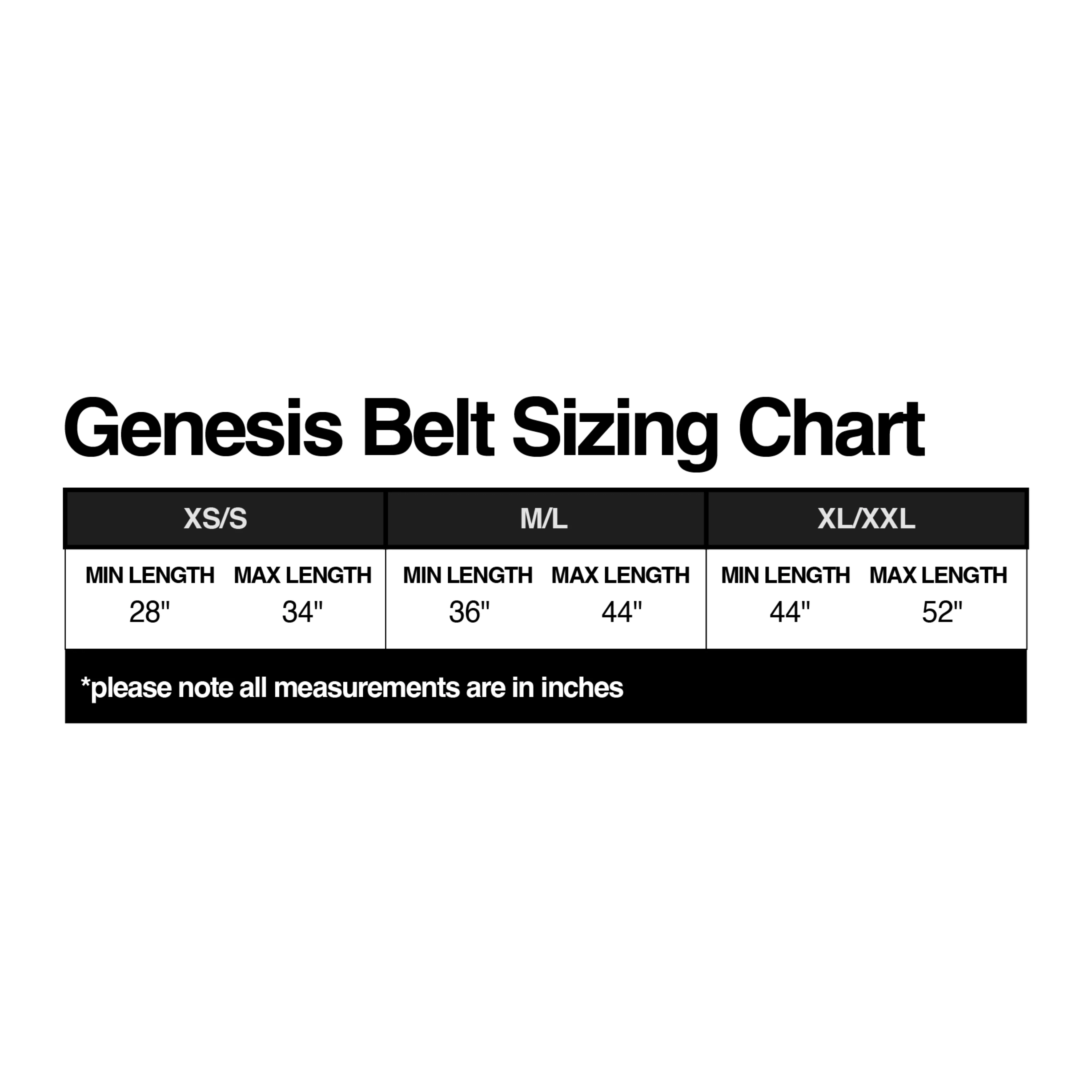 Genesis Belt - Image 6